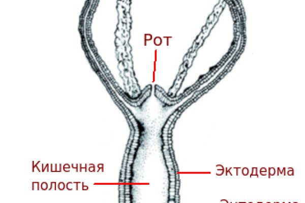 Актуальное зеркало kraken